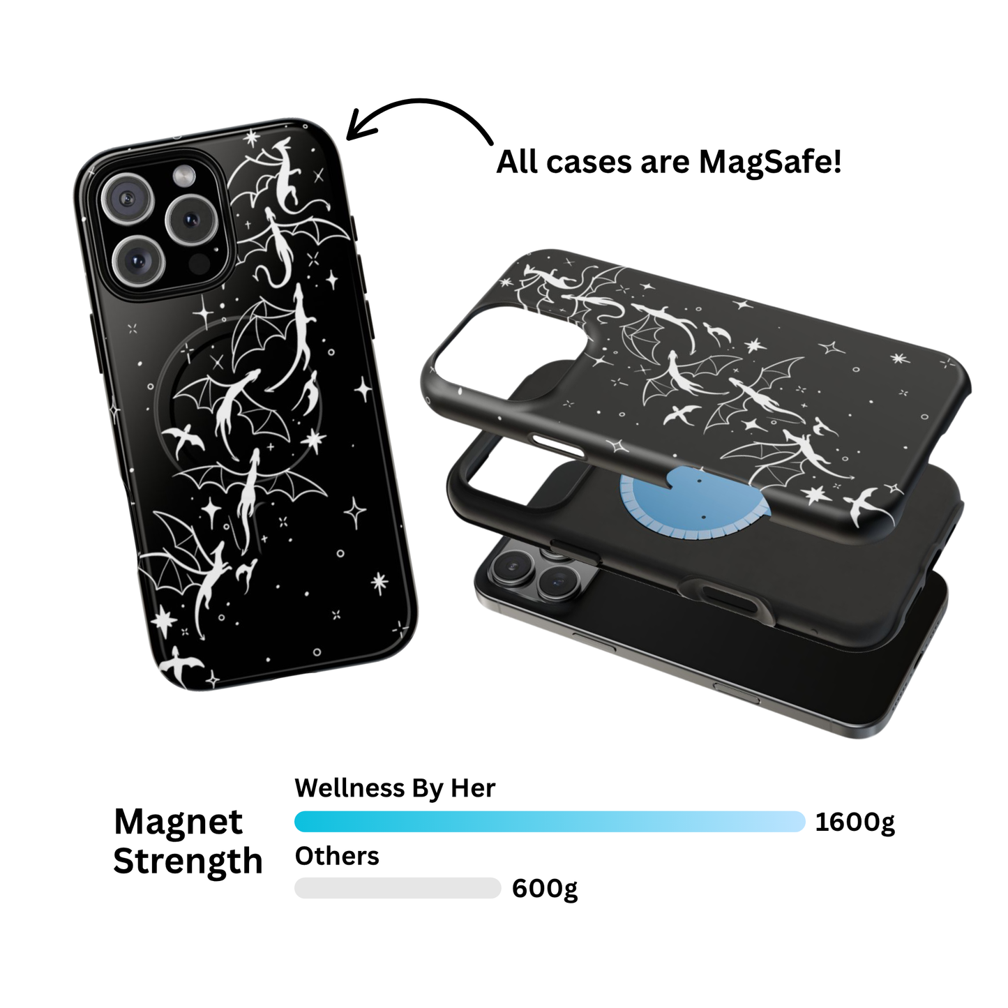 Skyborne Shadows Case